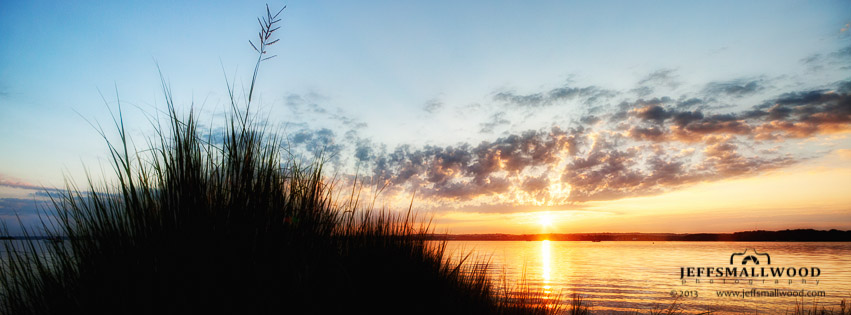 Tidal Marsh