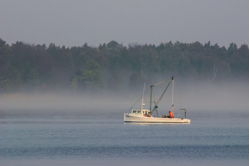 Click to view full screen - Harvest in the Fog