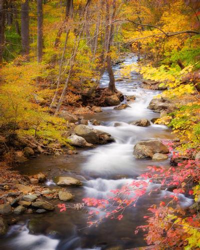 Click to view full screen - Autumn Arrival