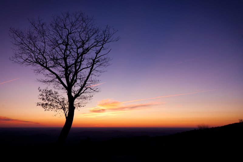 Click to view full screen - Skeleton and the Sky