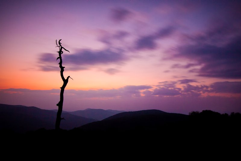 Click to view full screen - Thorofare Mountain Overlook at Dawn