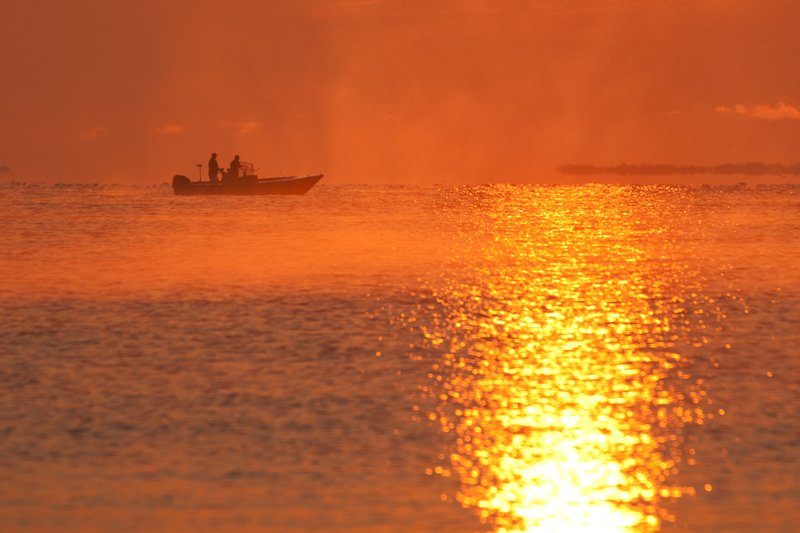 Click to view full screen - Early Morning Commute