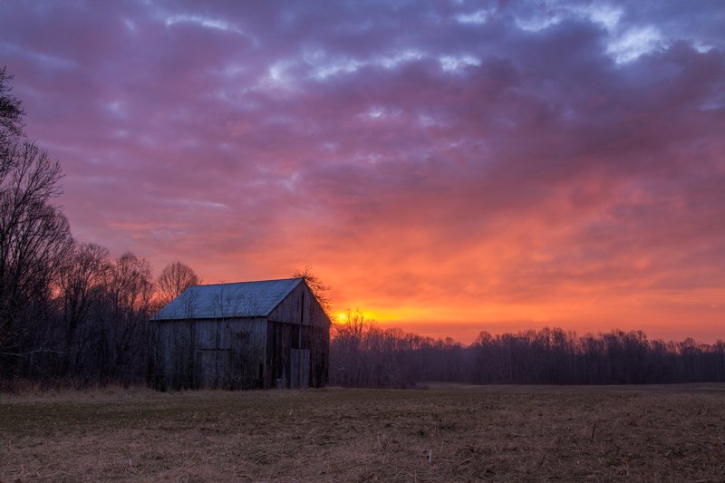 Click to view full screen - Technicolor Winter Rise